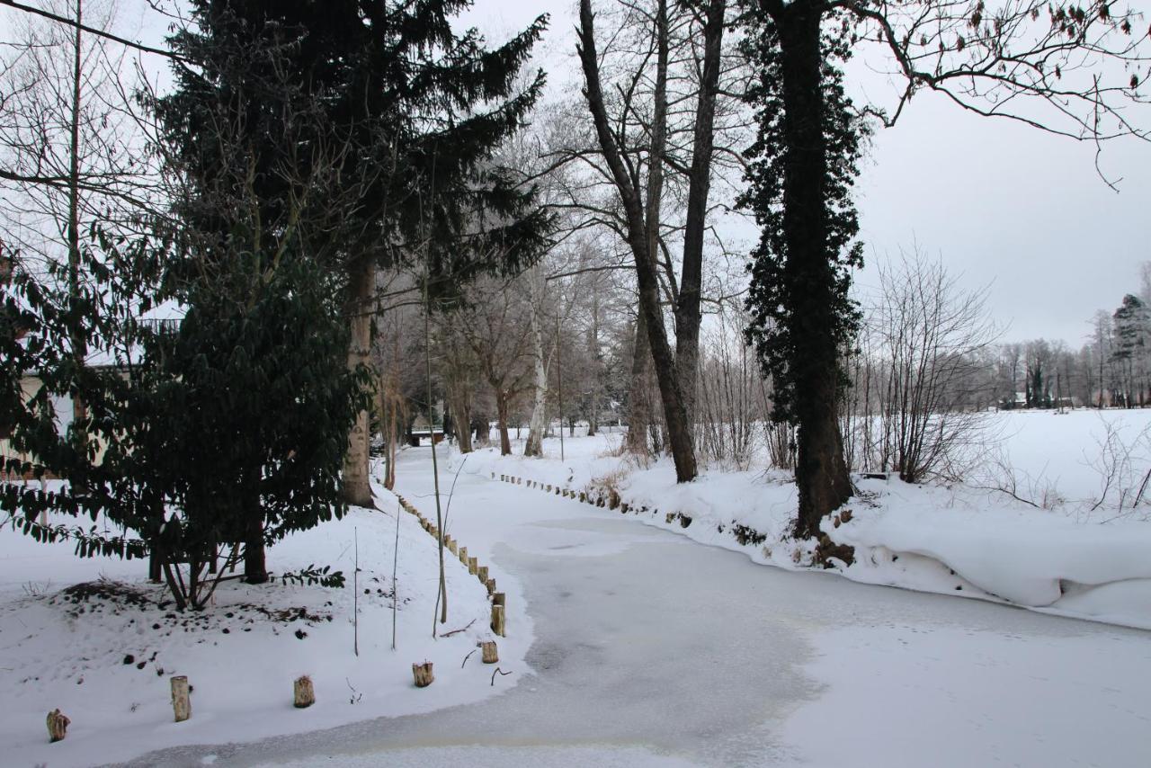 Landgasthof Zur Wildbahn Burg  Dış mekan fotoğraf