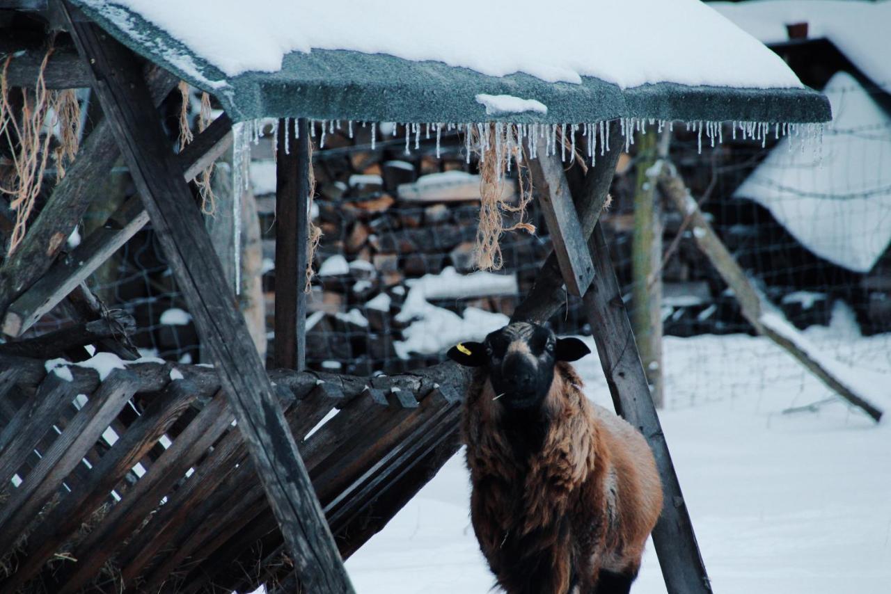 Landgasthof Zur Wildbahn Burg  Dış mekan fotoğraf